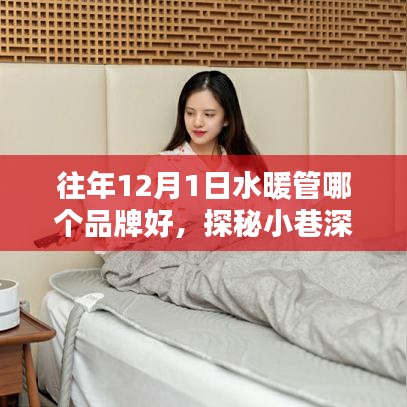 往年12月1日水暖管哪個品牌好，探秘小巷深處的溫暖之源，揭秘往年12月1日水暖管品牌傳奇