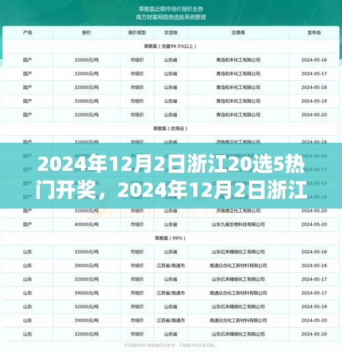 2024年12月2日浙江20選5熱門開獎，2024年12月2日浙江20選5彩票熱門開獎分析與預(yù)測