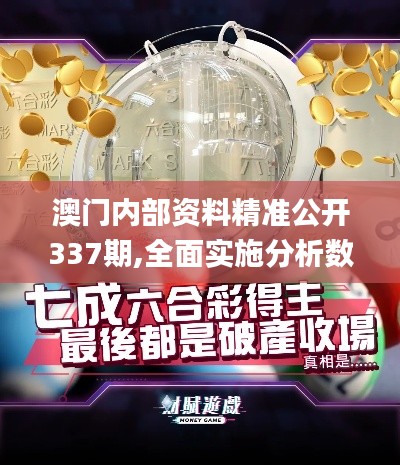 澳門內部資料精準公開337期,全面實施分析數據_精英款83.984-6