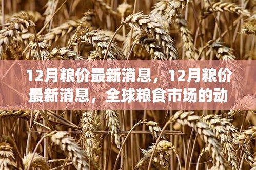 全球糧食市場最新動態(tài)，12月糧價(jià)分析與展望
