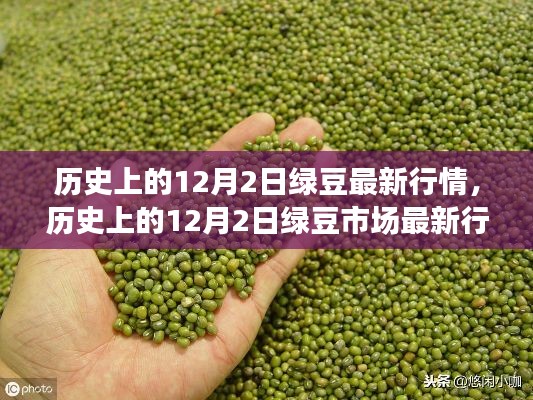 歷史上的12月2日綠豆行情概覽，最新市場動態速遞