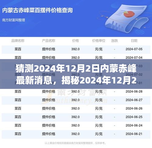 揭秘未來篇章，赤峰地區(qū)在2024年12月2日的最新發(fā)展與變遷內幕。