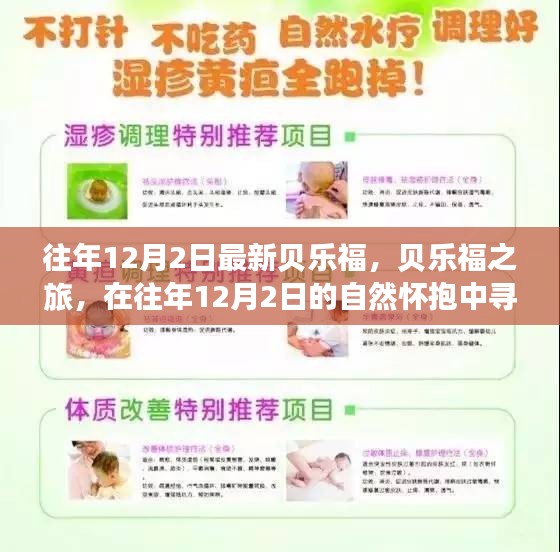往年12月2日貝樂福之旅，探尋自然懷抱中的內心平靜