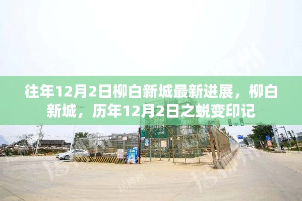 柳白新城歷年12月2日進展回顧，蛻變印記新篇章