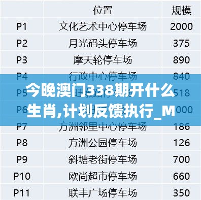 今晚澳門338期開什么生肖,計劃反饋執行_Max58.933-5