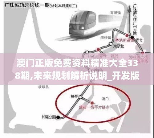 澳門正版免費資料精準大全338期,未來規劃解析說明_開發版148.526-7
