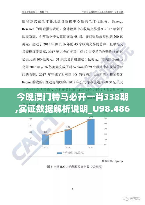 今晚澳門特馬必開一肖338期,實(shí)證數(shù)據(jù)解析說明_U98.486-5