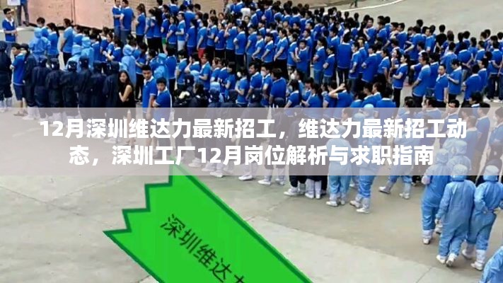 深圳維達(dá)力最新招工動(dòng)態(tài)與崗位解析，求職指南（12月版）