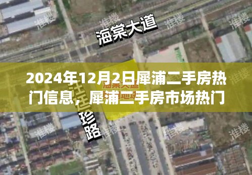 犀浦二手房市場深度解析，熱門信息觀察與反思（2024年12月版）