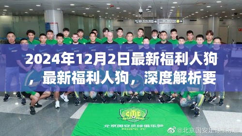 最新福利人狗趨勢深度解析與未來展望（2024年最新版）