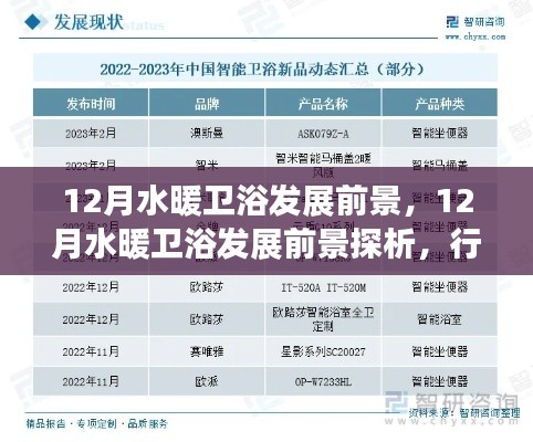 12月水暖衛浴行業發展趨勢深度解析，前景展望與個人洞察