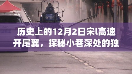 宋L高速尾翼主題小店，探秘小巷深處的獨特風味