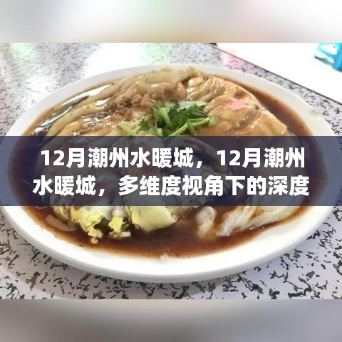 多維度視角下的深度探討，潮州水暖城12月全景解析