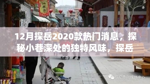 探岳2020款熱門消息揭秘，獨特風味與小巷特色小店之旅