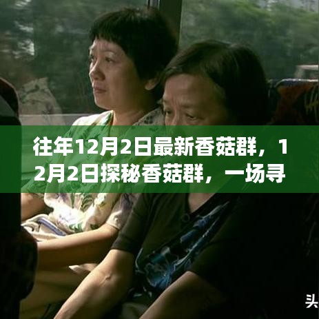 探秘香菇群，尋找內心平靜的奇妙旅程之旅