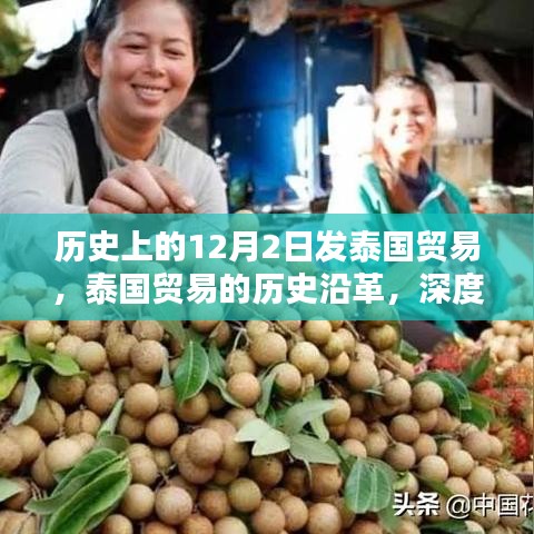 泰國貿易的歷史沿革，深度解析十二月二日貿易特點與體驗回顧