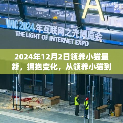 勵志之旅，從領養小貓到人生新篇章，擁抱變化的溫暖故事（2024年領養小貓最新）