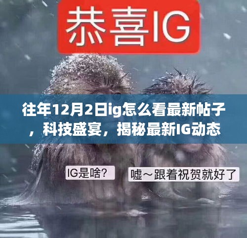 揭秘IG新功能，最新帖子瀏覽體驗(yàn)與震撼新功能登場！科技盛宴開啟！