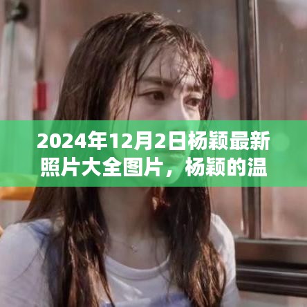 楊穎溫馨日常，冬日陽光下的美好瞬間（最新照片大全）