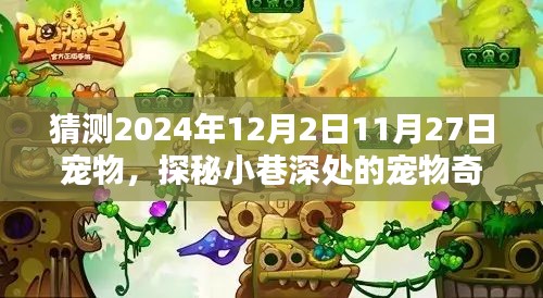 時光巷弄的寵物奇緣，探秘2024年12月寵物樂園的神秘面紗