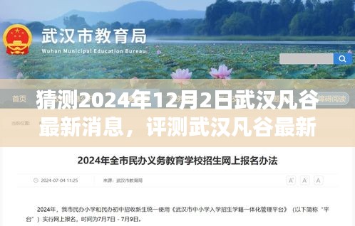 武漢凡谷最新消息解析，特性、體驗、競品對比與目標用戶群體分析