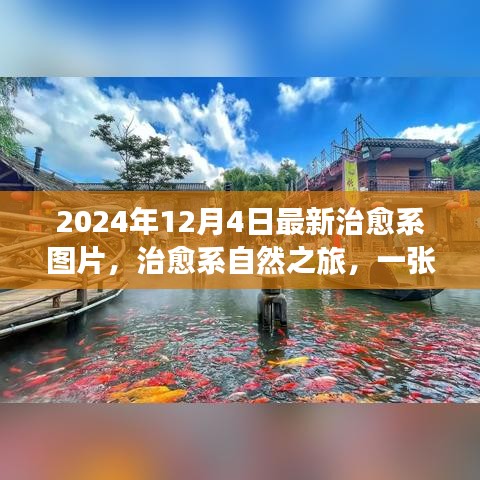 心靈治愈之旅，自然之美喚醒心靈，啟程尋找內(nèi)心的桃花源（最新治愈系圖片分享）