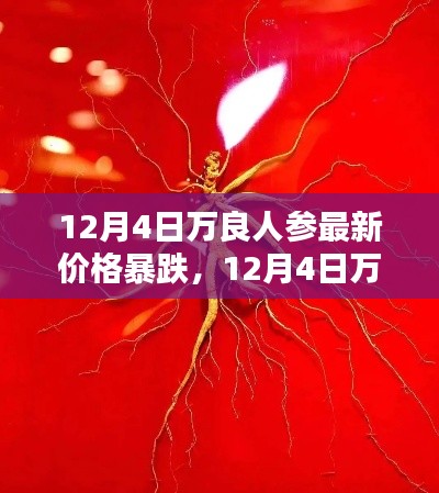 萬(wàn)良人參價(jià)格暴跌應(yīng)對(duì)指南，把握商機(jī)，洞悉市場(chǎng)變化！