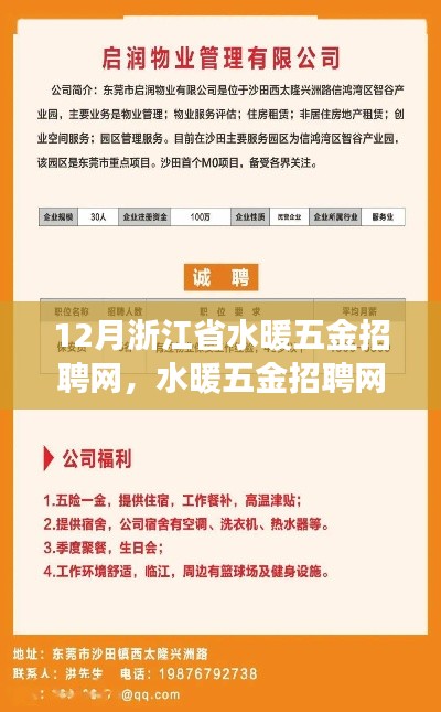 浙江省水暖五金招聘網里的暖心故事與十二月奇遇