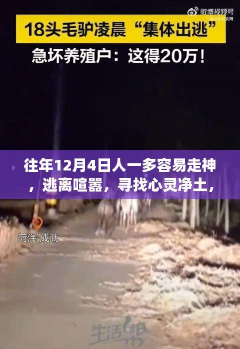 逃離喧囂，尋找心靈凈土，自然美景之旅，專注心靈的寧靜之旅
