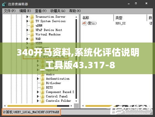 340開馬資料,系統(tǒng)化評(píng)估說明_工具版43.317-8