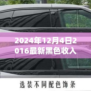 零基礎也能上手！2024年最新黑色收入項目實戰(zhàn)指南與解析