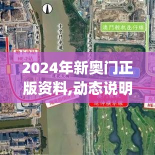 2024年新奧門正版資料,動態說明分析_WP8.922