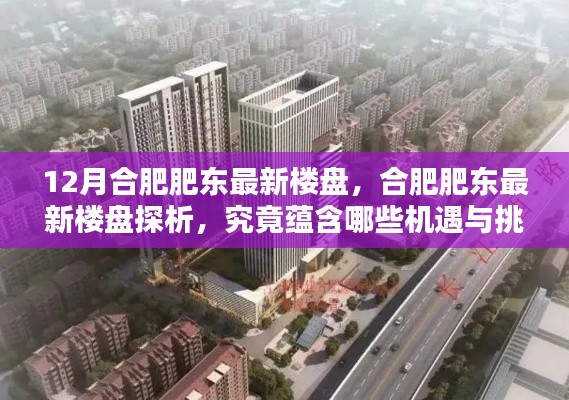 合肥肥東最新樓盤探析，機遇與挑戰(zhàn)揭秘