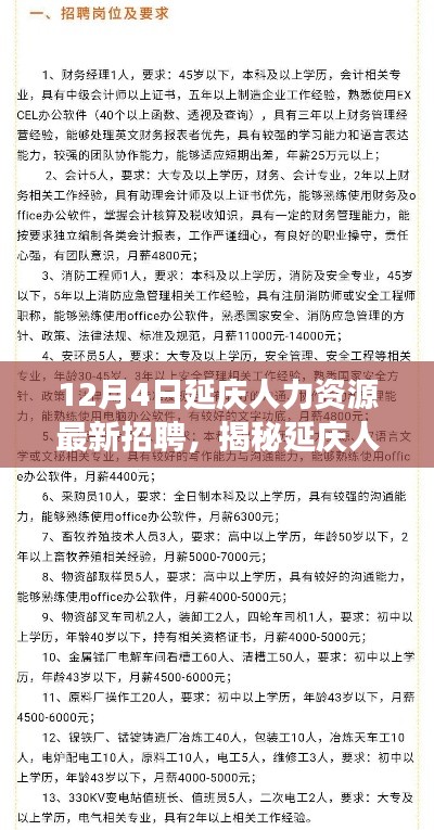 揭秘延慶人力資源最新招聘動態，把握職場機遇，贏在起跑線——延慶最新招聘資訊速遞