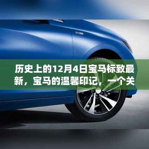 臨危不懼 第4頁