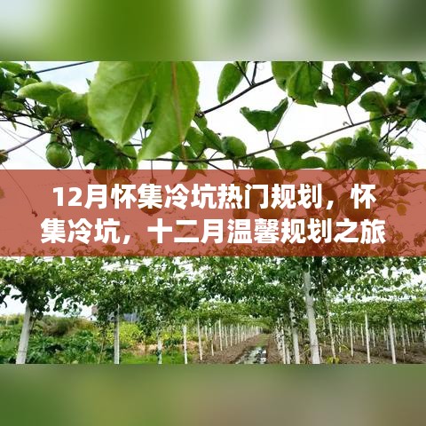 懷集冷坑十二月規(guī)劃之旅，暖心日常故事開啟溫馨之旅