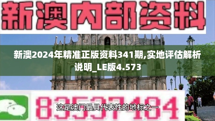 新澳2024年精準(zhǔn)正版資料341期,實地評估解析說明_LE版4.573
