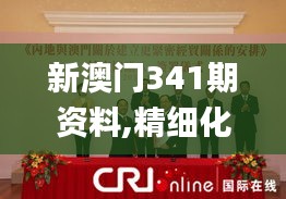 新澳門341期資料,精細化執(zhí)行計劃_開發(fā)版13.917