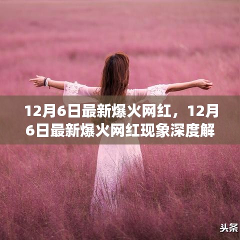 深度解析，揭秘網(wǎng)紅現(xiàn)象背后的正反雙方觀點與個人立場 —— 以最新爆火網(wǎng)紅為例
