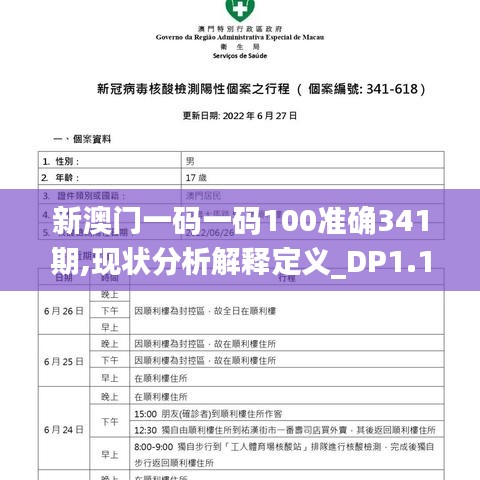 新澳門一碼一碼100準確341期,現狀分析解釋定義_DP1.133