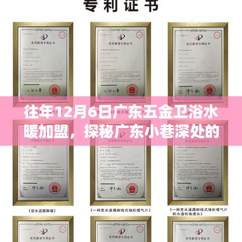 探秘廣東五金衛浴水暖加盟傳奇，隱藏版特色小店的非凡故事