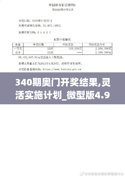 340期奧門開獎結果,靈活實施計劃_微型版4.982