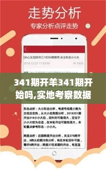 341期開羊341期開始嗎,實地考察數據設計_安卓版7.510
