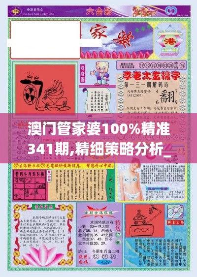 澳門管家婆100%精準(zhǔn)341期,精細策略分析_交互版1.544