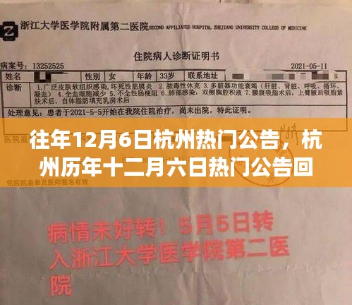 歷年12月6日杭州熱門公告回顧，事件背景、影響與時代印記