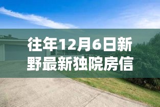 新野獨院房最新信息，溫馨家園的十二月奇遇記