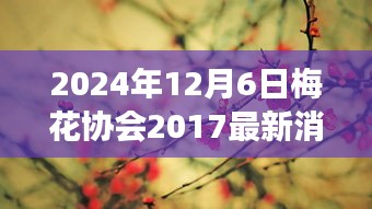 探尋未來(lái)之路，梅花協(xié)會(huì)最新動(dòng)態(tài)與行業(yè)夢(mèng)想展望（2024年）