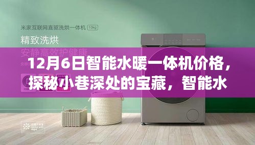 探秘小巷深處的寶藏，智能水暖一體機(jī)的驚喜價格之旅！