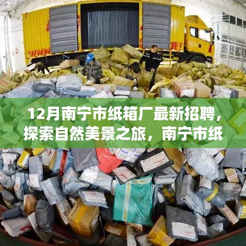 南寧市紙箱廠12月最新招聘啟事，探索自然美景之旅，尋找內(nèi)心的寧?kù)o與平和之旅