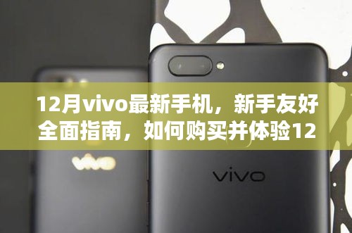 新手友好指南，購買并體驗vivo 12月最新款手機全攻略